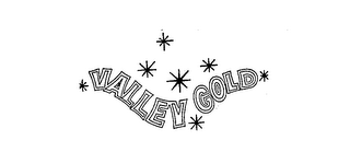 VALLEY GOLD logo