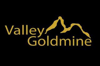VALLEY GOLDMINE logo