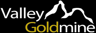 VALLEY GOLDMINE logo