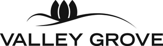 VALLEY GROVE logo
