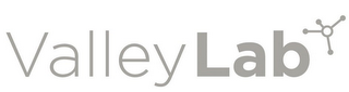 VALLEY LAB logo