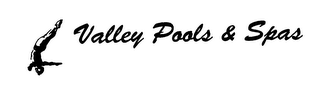 VALLEY POOLS & SPAS logo