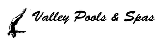 VALLEY POOLS & SPAS logo