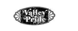 VALLEY PRIDE logo