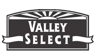 VALLEY SELECT logo
