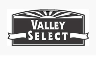 VALLEY SELECT logo