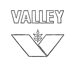 VALLEY V logo