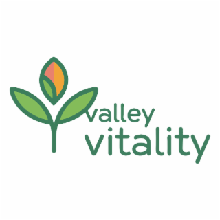 VALLEY VITALITY logo