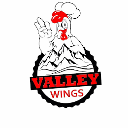 VALLEY WINGS logo