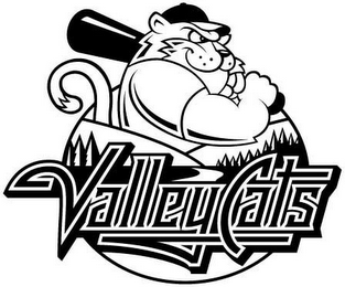 VALLEYCATS logo