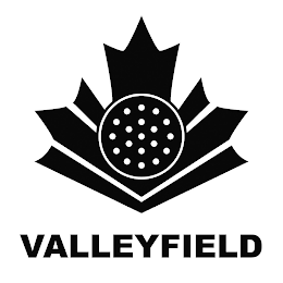 VALLEYFIELD logo