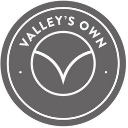 VALLEY'S OWN V logo