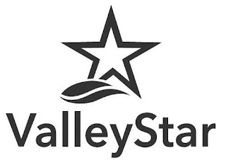 VALLEYSTAR logo