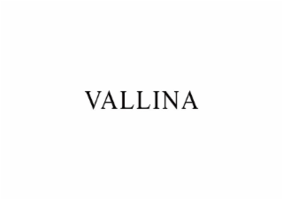 VALLINA logo