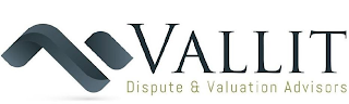 VALLIT DISPUTE & VALUATION ADVISORS logo
