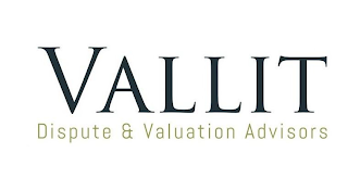 VALLIT DISPUTE & VALUATION ADVISORS logo