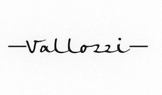 -VALLOZZI- logo