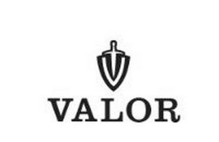 VALOR logo