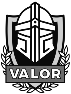 VALOR logo
