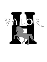 VALOR H logo
