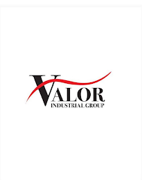 VALOR INDUSTRIAL GROUP logo