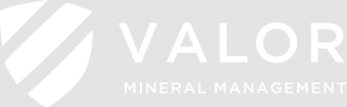 VALOR MINERAL MANAGEMENT logo