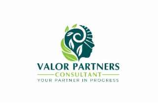 VALOR PARTNERS CONSULTANT YOUR PARTNER IN PROGRESS logo