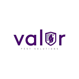 VALOR PEST SOLUTIONS