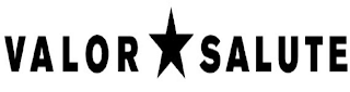 VALOR SALUTE logo