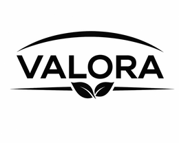 VALORA logo
