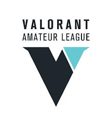 VALORANT AMATEUR LEAGUE V logo