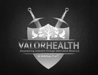 VALORHEALTH EMPOWERING VETERANS THROUGH ALTERNATIVE MEDICINE BY SPIRITUAL 7 logo