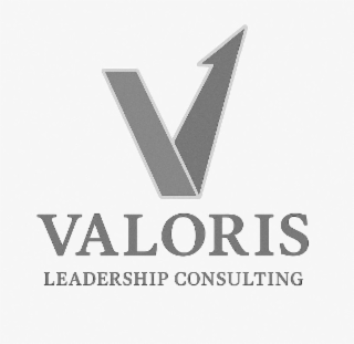 VALORIS LEADERSHIP CONSULTING logo