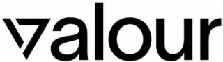 VALOUR logo