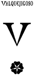 VALQUEJIGOSO V logo