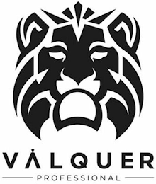 VALQUER PROFESSIONAL logo
