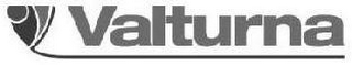 VALTURNA logo
