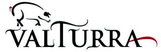 VALTURRA logo