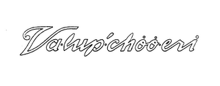 VA.LUP.CHOO.ERI logo