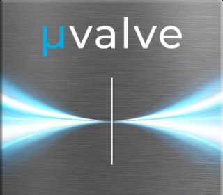 VALVE logo