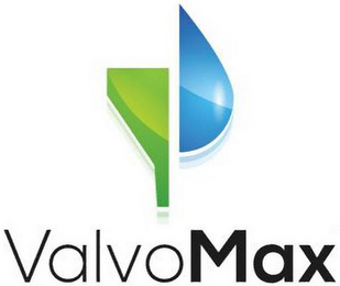 VALVOMAX logo