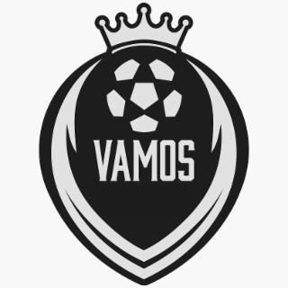 VAMOS logo