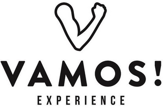 VAMOS! EXPERIENCE logo