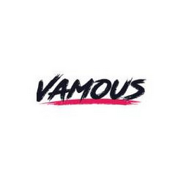 VAMOUS logo