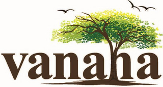 VANAHA logo