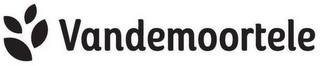 VANDEMOORTELE logo