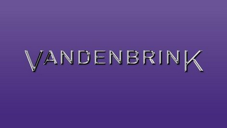 VANDENBRINK logo