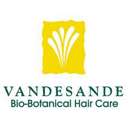 VANDESANDE logo