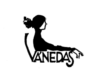 VANEDAS logo