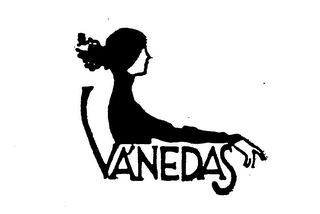 VA'NEDAS logo